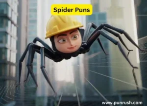 Spider Puns